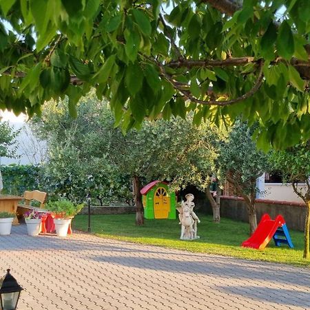 Apartmani Sanja ヴーシ エクステリア 写真