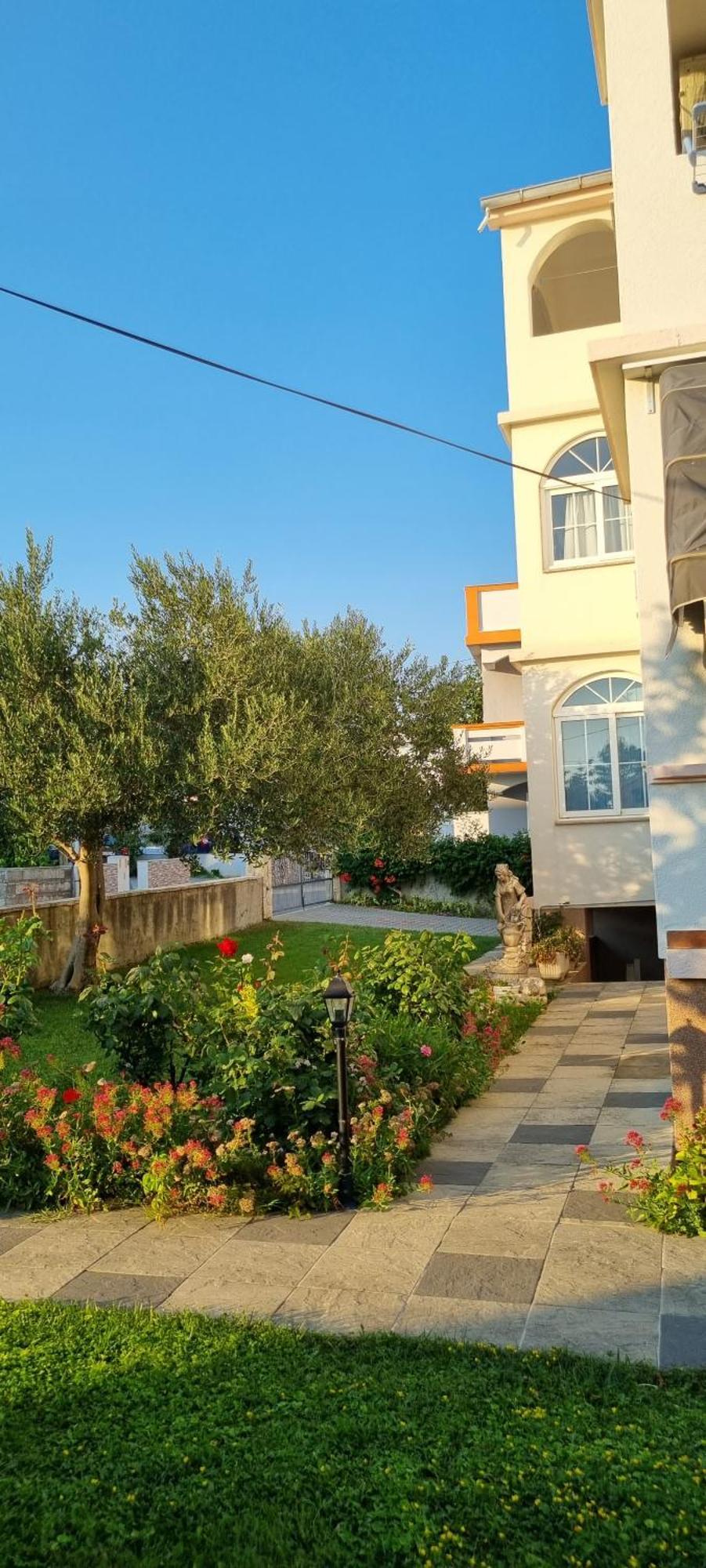 Apartmani Sanja ヴーシ エクステリア 写真
